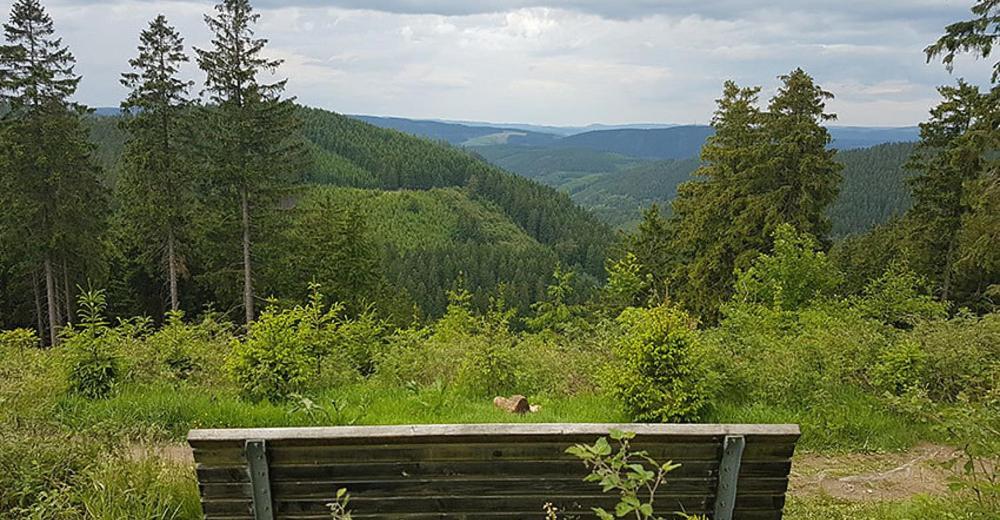 Willa Ferienhaus Astenblick - Ideal Fuer Weihnachtsfeiern Und Familienfeiern Bietet Schlafplaetze Fuer Bis Zu 35 Personen Winterberg Zewnętrze zdjęcie